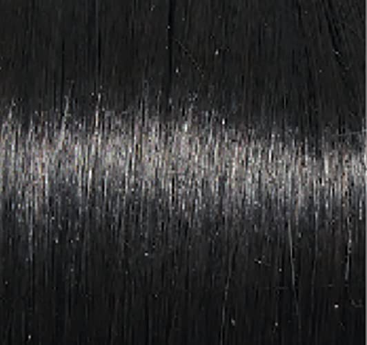 GABOR Keep It Classy Chic Layered Short Cut Wig by Hairuwear, Average Cap - GF17-23SS Iced Latte Macchiato